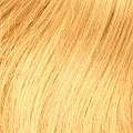 №24B - темный блонд (золотистый оттенок)